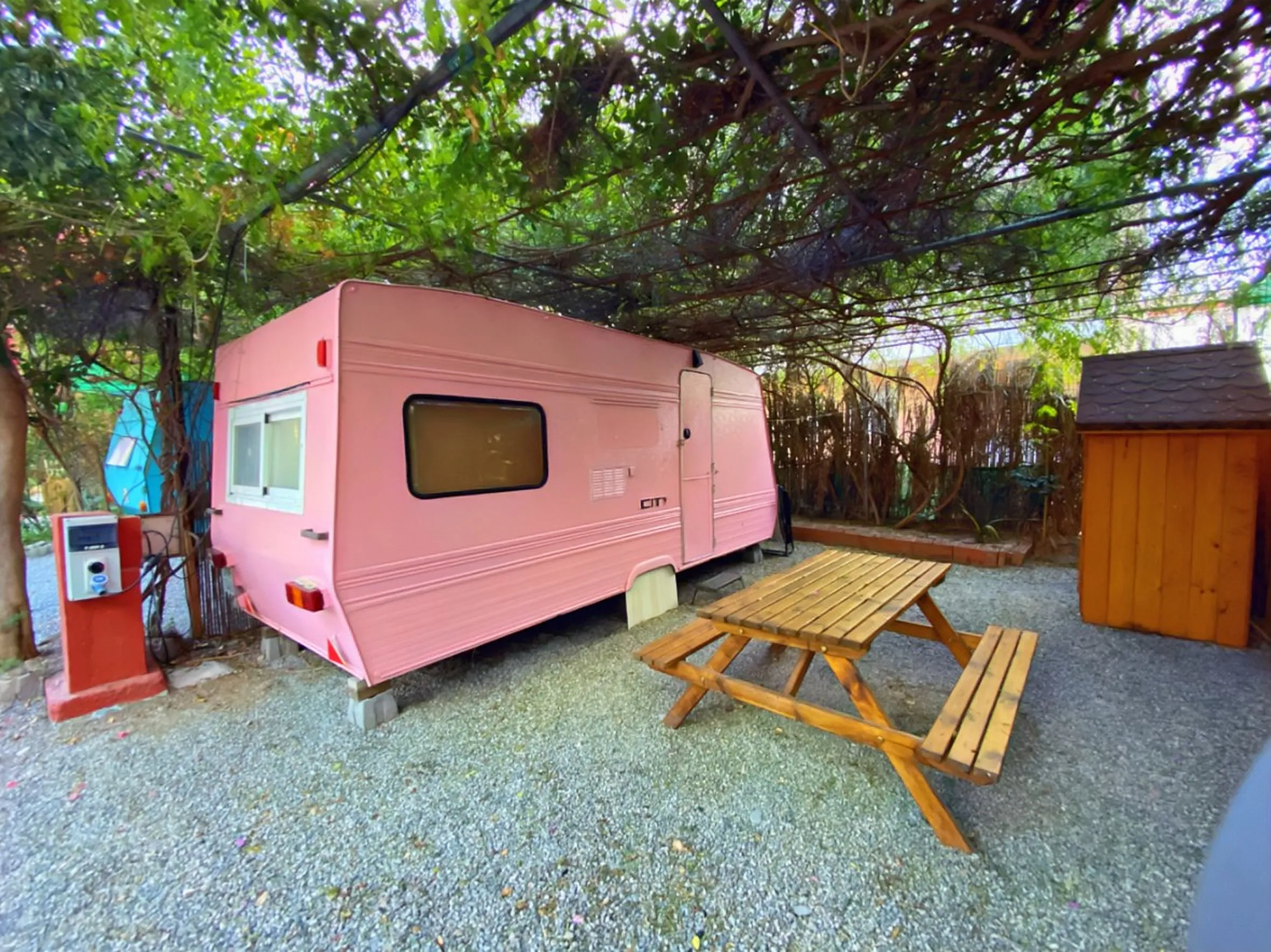 Caravana vintage rosa con merendero de madera bajo una pérgola de vegetación