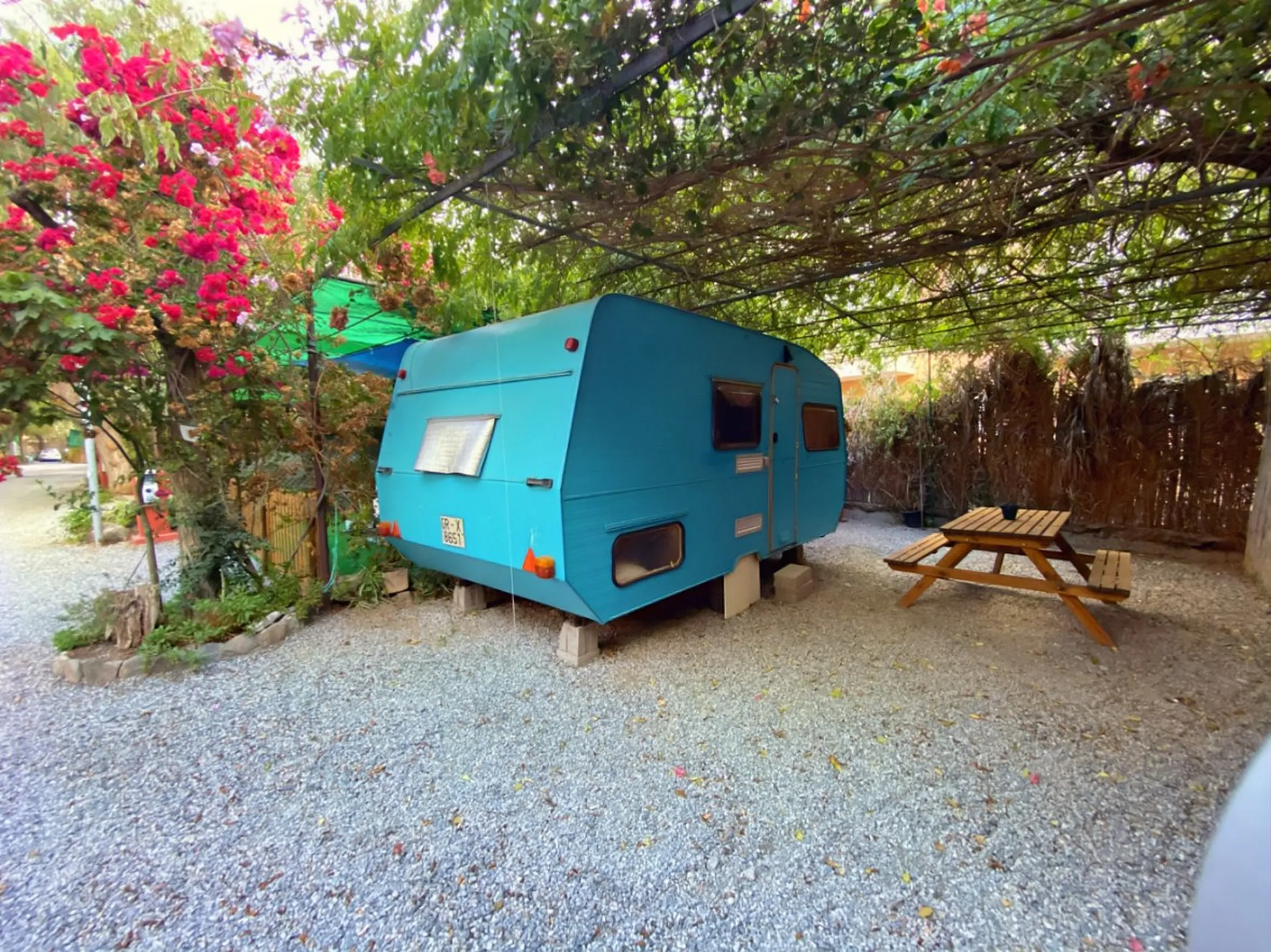 Caravana vintage turquesa bajo una pérgola vegetal con merendero